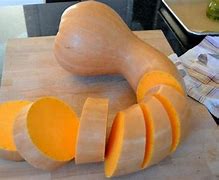 Image result for Crookneck Pumpkin