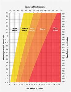 Improving Ivf Success Rates For Women With Bmi Of 25 30