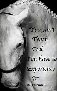 Image result for Horse Training Bits