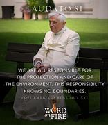 Image result for Pope Francis Laudato Si