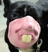 Image result for Dog OC Humanoid