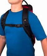 Image result for Backpack Strap Holder