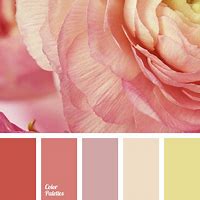 Image result for Golden Yellow Color Palette