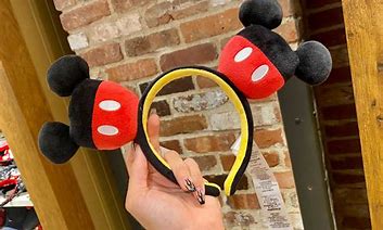 Image result for Mickey Mouse Ears Carrying Case