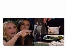 Image result for Woman Crying at Cat Meme