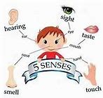 Image result for 10 Senses