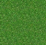 Image result for Grass Seamless Ground Texture