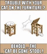 Image result for Cat On Stool Meme