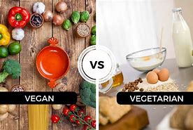 Image result for Is Vegan and Vegetarian the Same