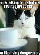 Image result for Crying Cat Meme Coffee