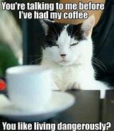 Image result for Morning Black Cat Coffee Meme
