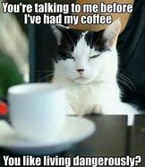 Image result for Animal Coffee Memes