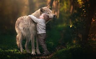 Image result for Wolves with People