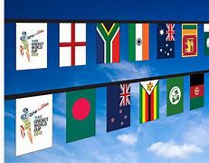 Image result for Flags in Cricket World Cup