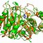 Image result for Enzyme Protein