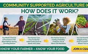 Image result for Community Supported Agriculture Graphic