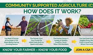 Image result for Community Supported Agriculture Logo