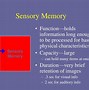 Image result for Short-Term Memory Psychology Definition