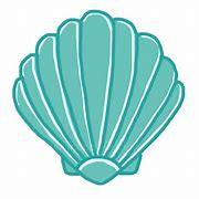 Image result for Cute Cartoon Sea Shell