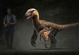 Image result for Feathered Raptor Dinosaur