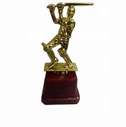 Image result for Golden Color Cricket Trophy