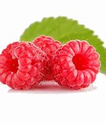 Image result for Raspberry Fruit Slices