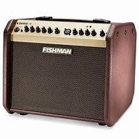 Image result for Wireless Amplifier for Guitar