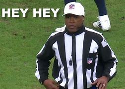 Image result for Funny NFL Referee