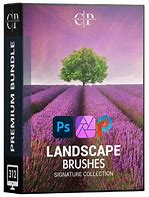 Image result for Adobe Photoshop Brush