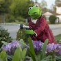 Image result for Annoyed Kermit