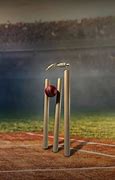 Image result for Cricket Themed Wallpaper