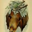 Image result for Ghost Bat Drawing