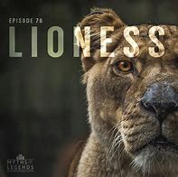 Image result for Mythical Lioness