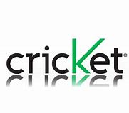 Image result for Cricket Pplay Sign