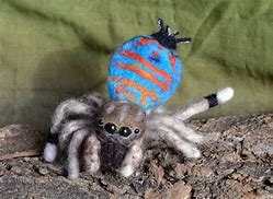 Image result for Peacock Spider Plushie