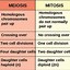 Image result for Mitosis vs Meiosis Worksheet