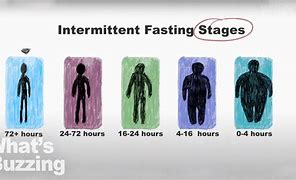 Image result for Fasting Stages