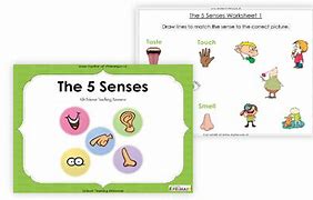 Image result for Science Center 5 Senses