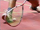 Image result for Round Squash