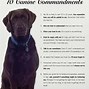 Image result for 10 Commandments Quotes