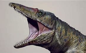 Image result for Crocodile Ancestor