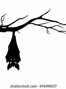 Image result for Hanging Bat Graphic