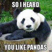 Image result for Panda Question Meme