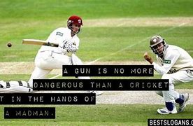 Image result for Cricket Slogans Bugs