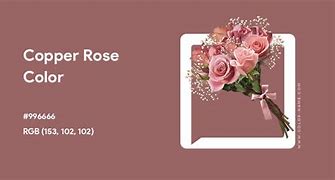Image result for Copper Rose Color