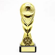 Image result for Trophy for Football