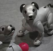 Image result for Japanese Robotic Pets