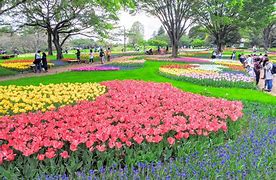 Image result for Flower Park Japan