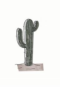 Image result for Desert Cactus Drawing