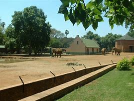 Image result for Africa Zoo
